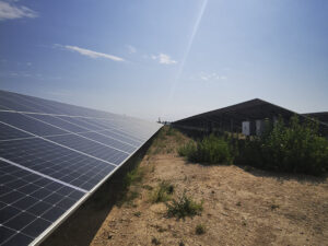 Estudio de avifauna en planta solar fotovoltaica