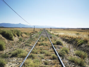 Prospección faunística en tramo ferroviario